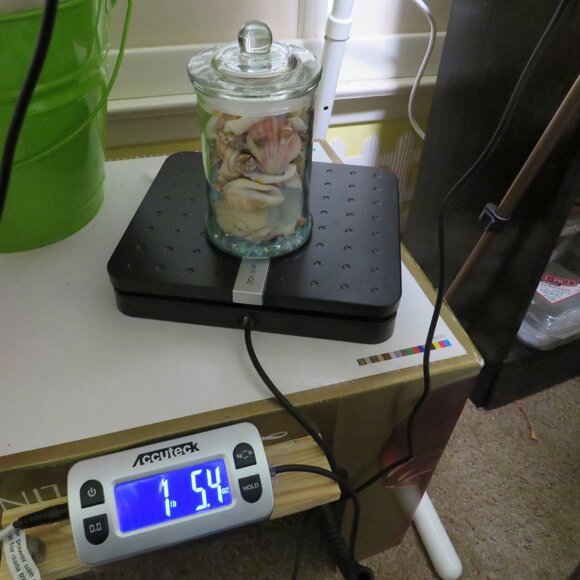 REAL sea shells in a New Glass Jar w seal & lid 5.75" tall (1+ pounds) - Picture 10 of 12